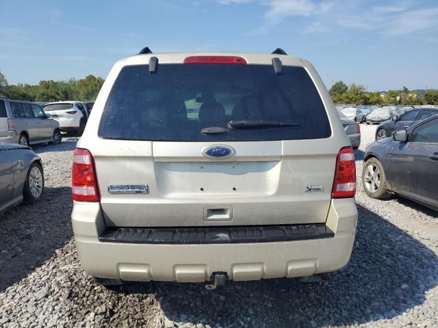 2011 Ford Escape XLT