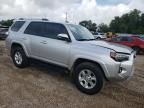 2024 Toyota 4runner SR5/SR5 Premium