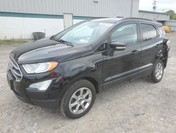 Salvage cars for sale at Leroy, NY auction: 2019 Ford Ecosport SE