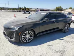 Salvage cars for sale at Mentone, CA auction: 2020 Cadillac CT5 Premium Luxury