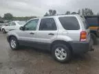 2007 Ford Escape XLT