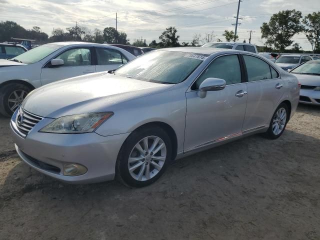 2010 Lexus ES 350