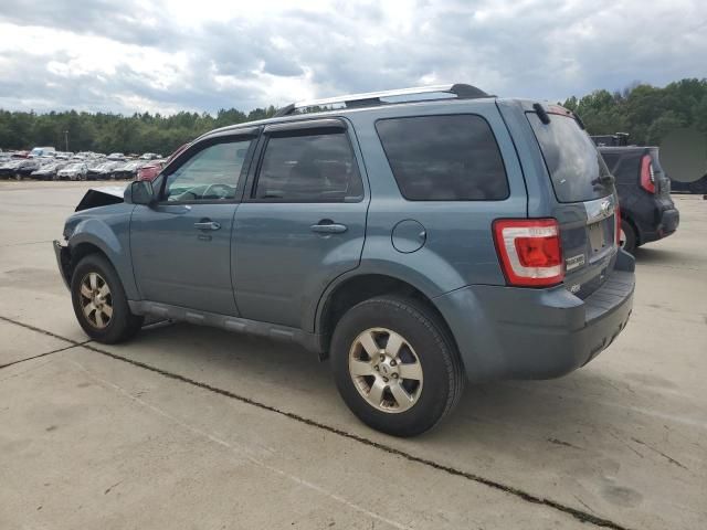 2011 Ford Escape Limited