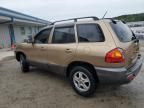 2004 Hyundai Santa FE GLS