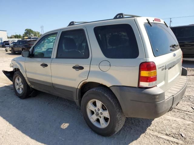 2006 Ford Escape XLT