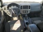 2007 Ford Escape XLT