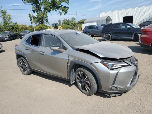 2019 Lexus UX 250H