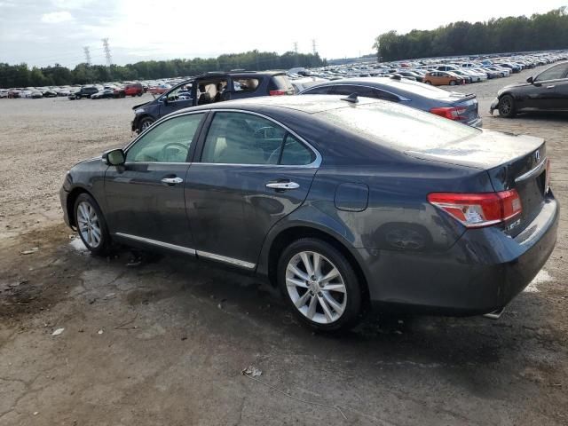 2010 Lexus ES 350