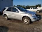 2006 Mercedes-Benz ML 350