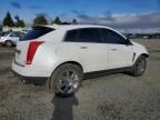 2012 Cadillac SRX Performance Collection