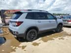 2024 Honda Passport Black Edition