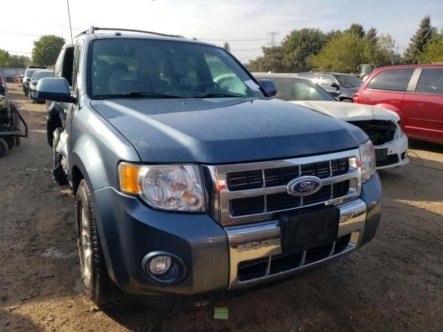 2010 Ford Escape Limited