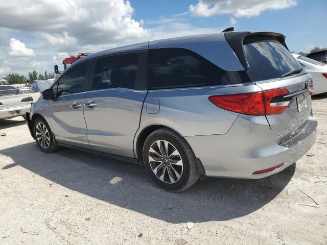 2022 Honda Odyssey EXL