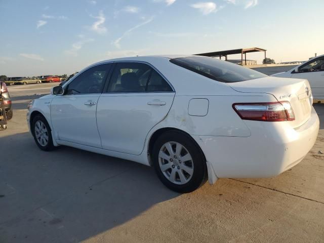 2009 Toyota Camry Hybrid