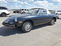 Classic salvage cars for sale at auction: 1978 Alfa Romeo Spider