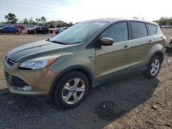 Ford salvage cars for sale: 2013 Ford Escape SE