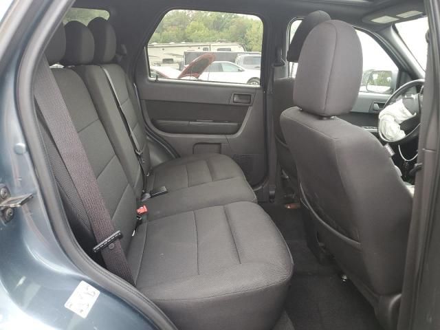 2010 Ford Escape XLT