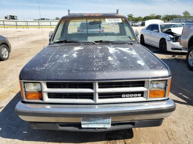 1988 Dodge Dakota