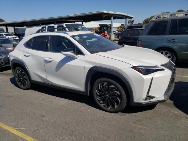 2024 Lexus UX 250H Base