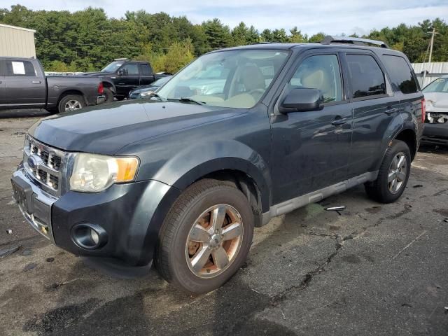 2009 Ford Escape Limited