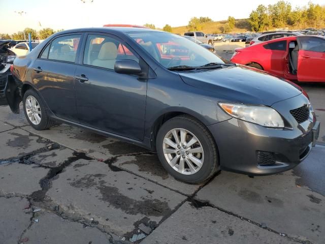 2010 Toyota Corolla Base