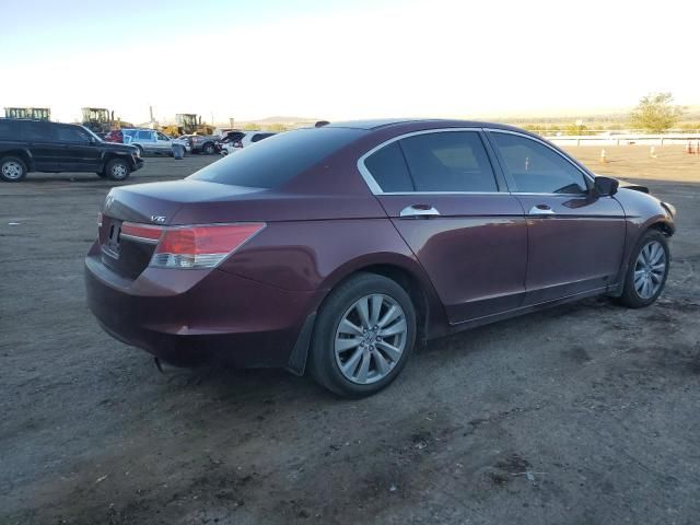 2011 Honda Accord EXL