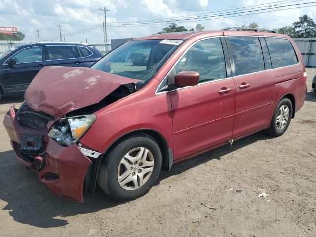 2006 Honda Odyssey EXL