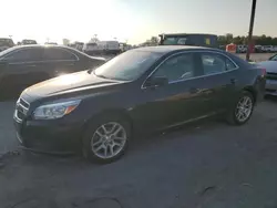 Salvage cars for sale at Indianapolis, IN auction: 2013 Chevrolet Malibu 1LT