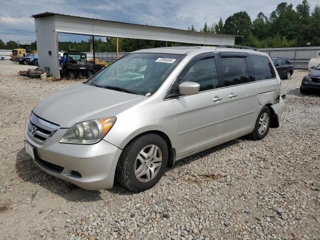 2005 Honda Odyssey EXL