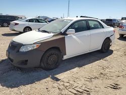 Toyota salvage cars for sale: 2009 Toyota Corolla Base