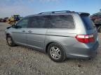 2006 Honda Odyssey EX