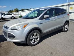 Salvage cars for sale at Pennsburg, PA auction: 2014 Ford Escape SE