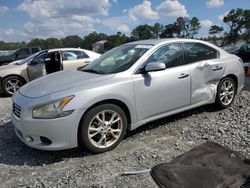 Salvage cars for sale at Byron, GA auction: 2013 Nissan Maxima S