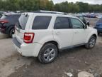 2009 Ford Escape Limited