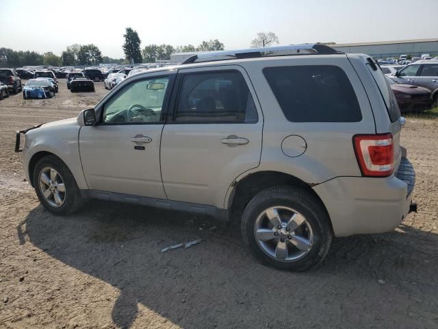 2009 Ford Escape Limited