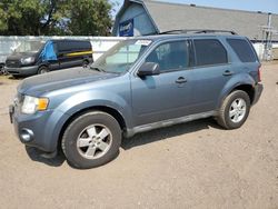 Ford Vehiculos salvage en venta: 2010 Ford Escape XLT