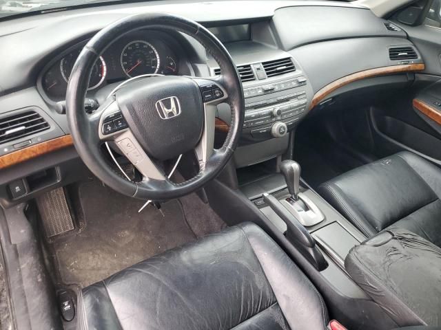 2011 Honda Accord EXL