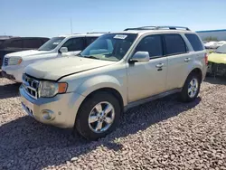 Ford salvage cars for sale: 2010 Ford Escape Limited