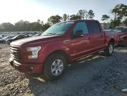 Salvage cars for sale at Byron, GA auction: 2016 Ford F150 Supercrew