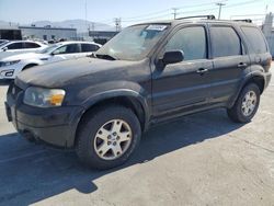 Ford salvage cars for sale: 2006 Ford Escape Limited