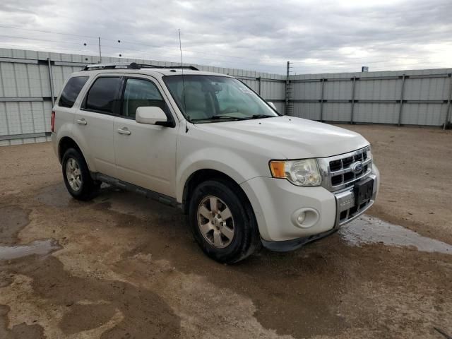 2011 Ford Escape Limited