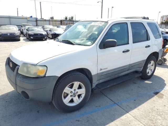 2005 Ford Escape HEV