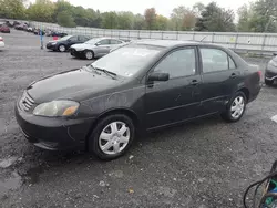 Carros con verificación Run & Drive a la venta en subasta: 2004 Toyota Corolla CE