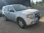 2010 Ford Escape XLS