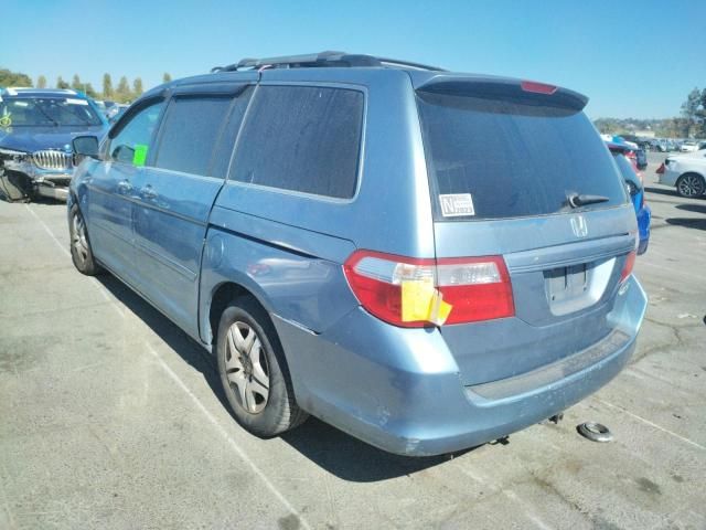 2005 Honda Odyssey EXL