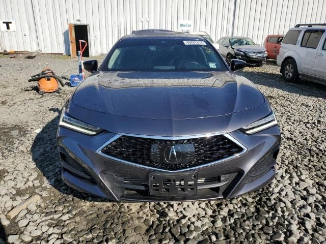 2023 Acura TLX