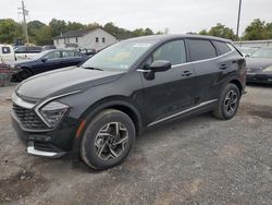 Salvage cars for sale at York Haven, PA auction: 2024 KIA Sportage LX