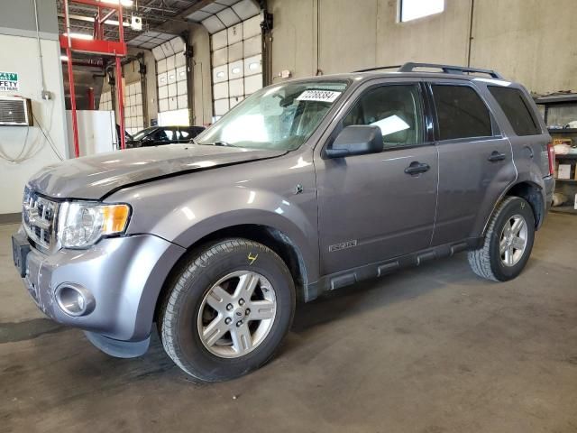 2008 Ford Escape HEV