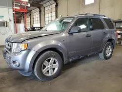 Ford salvage cars for sale: 2008 Ford Escape HEV