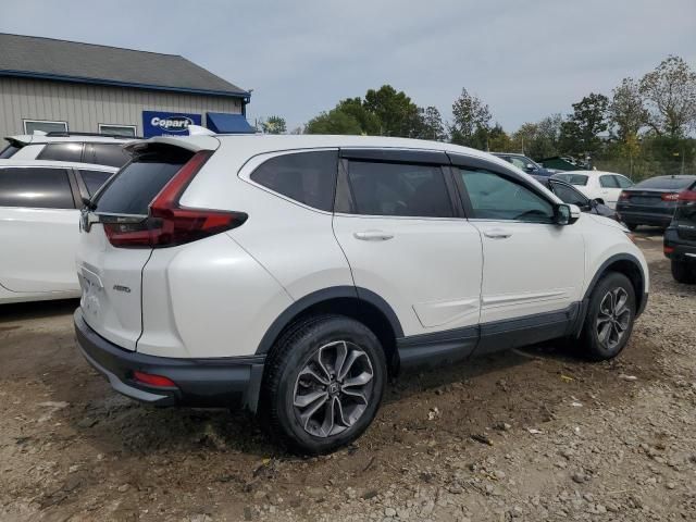 2020 Honda CR-V EXL